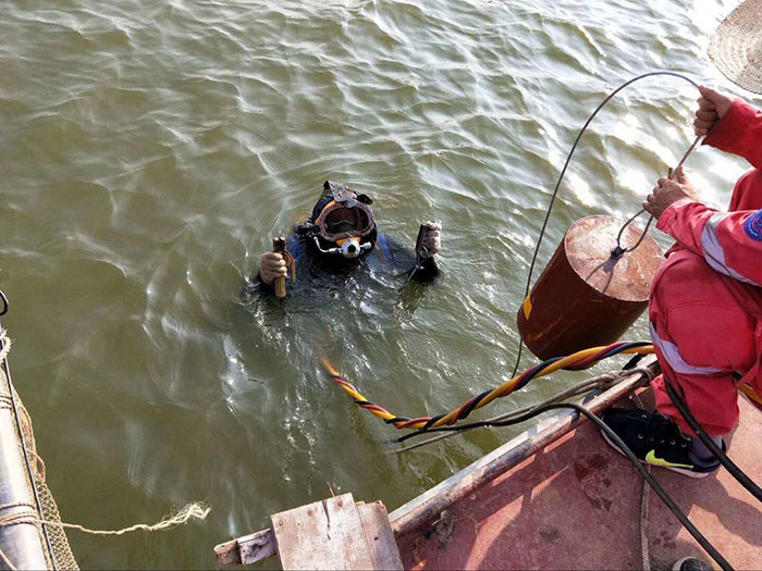 山东apex电竞娱乐公司