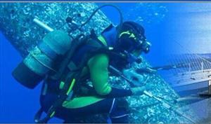 山东vr电竞娱乐