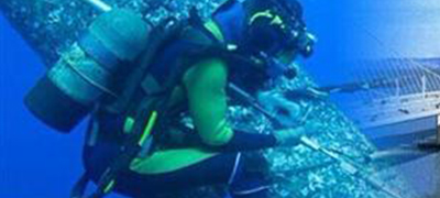 山东apex电竞娱乐公司多少钱？